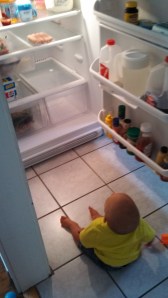 IMG_20130727_170136_014