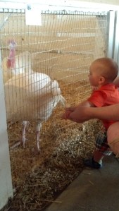 2013-08-06_16-46-45_972[1]