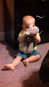 IMG_20130822_074100_783[1]