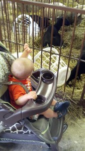 2013-09-12_15-49-51_984[1]