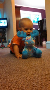 IMG_20130915_183941_141[1]