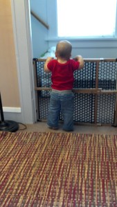 2013-10-03_18-07-34_630[1]