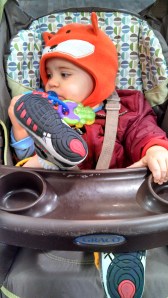 IMG_20131129_113813_633[1]