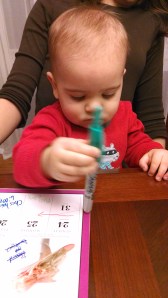 IMG_20131227_180118551_HDR[1]