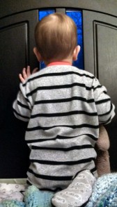 IMG_20140129_071344_292[1]