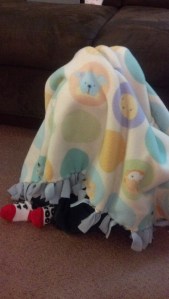 IMG_20140204_183756_793[1]