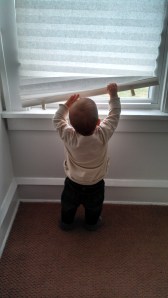 IMG_20140223_163155_305[1]