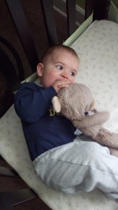 IMG_20140225_160735_776[1]