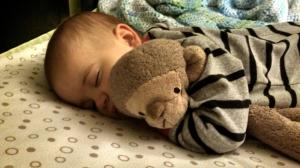 ResizedImage951391313721468[1]