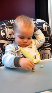 IMG_20140301_073005_667[1]