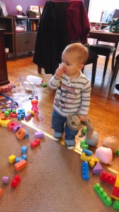 IMG_20140308_112351239_HDR[1]