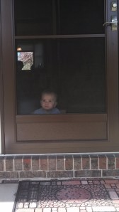 IMG_20140427_101728_197[1]