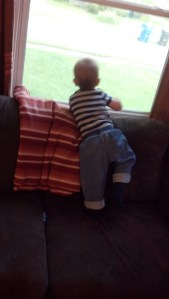 IMG_20140529_071357_451[1]