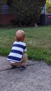 IMG_20140616_191739096_HDR[1]