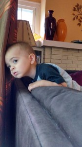 IMG_20140625_080850449_HDR[1]