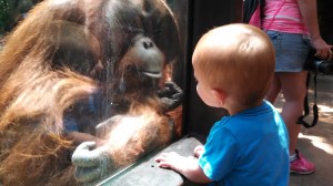 IMG_20140628_124826_021[1]