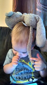 IMG_20140724_065642007_HDR[1]