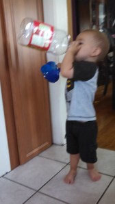 IMG_20140726_123016_673[1]