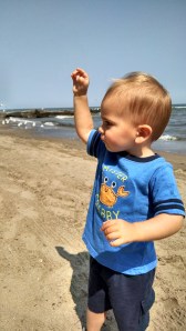 IMG_20140809_113851362_HDR[1]