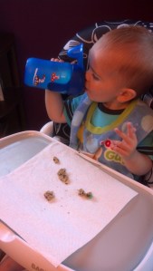 IMG_20140812_181734_942[2]