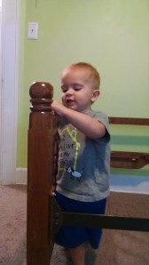 IMG_20140902_183647028[1]