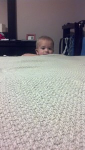 IMG_20140909_070001_817[1]