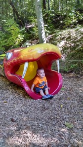 IMG_20140927_124439540_HDR[1]