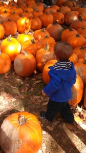 IMG_20141011_141805_642[1]