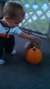 IMG_20141015_073912_294[1]