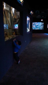 IMG_20141024_103655_793[1]