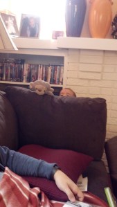 IMG_20141101_155500_162[1]