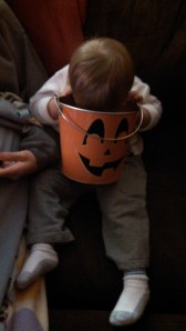 IMG_20141101_200425_957[1]