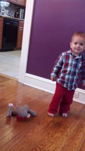 IMG_20141107_093840_257[1]