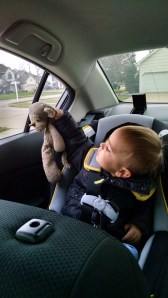 IMG_20141125_080259737_HDR[1]