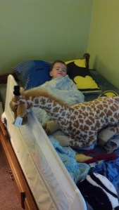 IMG_20150105_163949_160[1]