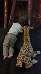 IMG_20150107_062854_266[1]