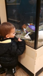 IMG_20150206_190428_593[1]