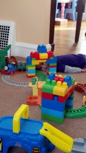 IMG_20150220_094413_596[1]