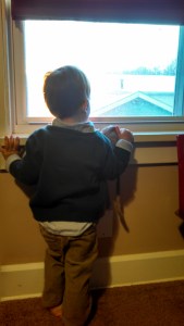 IMG_20150329_073010_674[1]