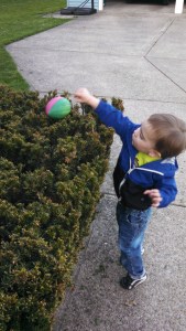 IMG_20150417_193558_286[1]