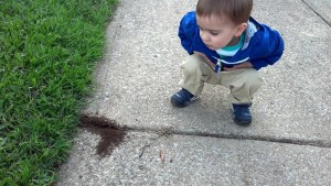 IMG_20150418_192741_220[1]