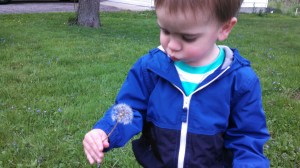 IMG_20150505_185307_461[1]