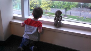 IMG_20150517_090046_516[1]