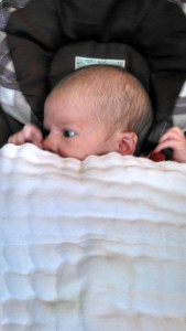 IMG_20150604_174609_145[1]