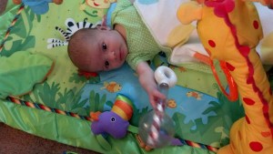 IMG_20150625_115049_194[1]