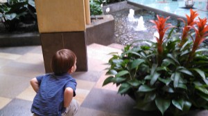 IMG_20150628_132841_329[1]