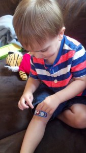 IMG_20150728_173730_263[1]