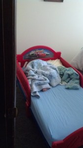 IMG_20150805_162115_269[1]