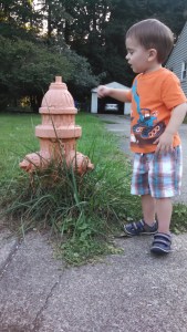 IMG_20150813_192948_644[1]