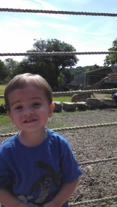 IMG_20150815_105956_537[1]